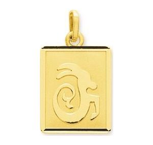 Médaille zodiaque capricorne or j.